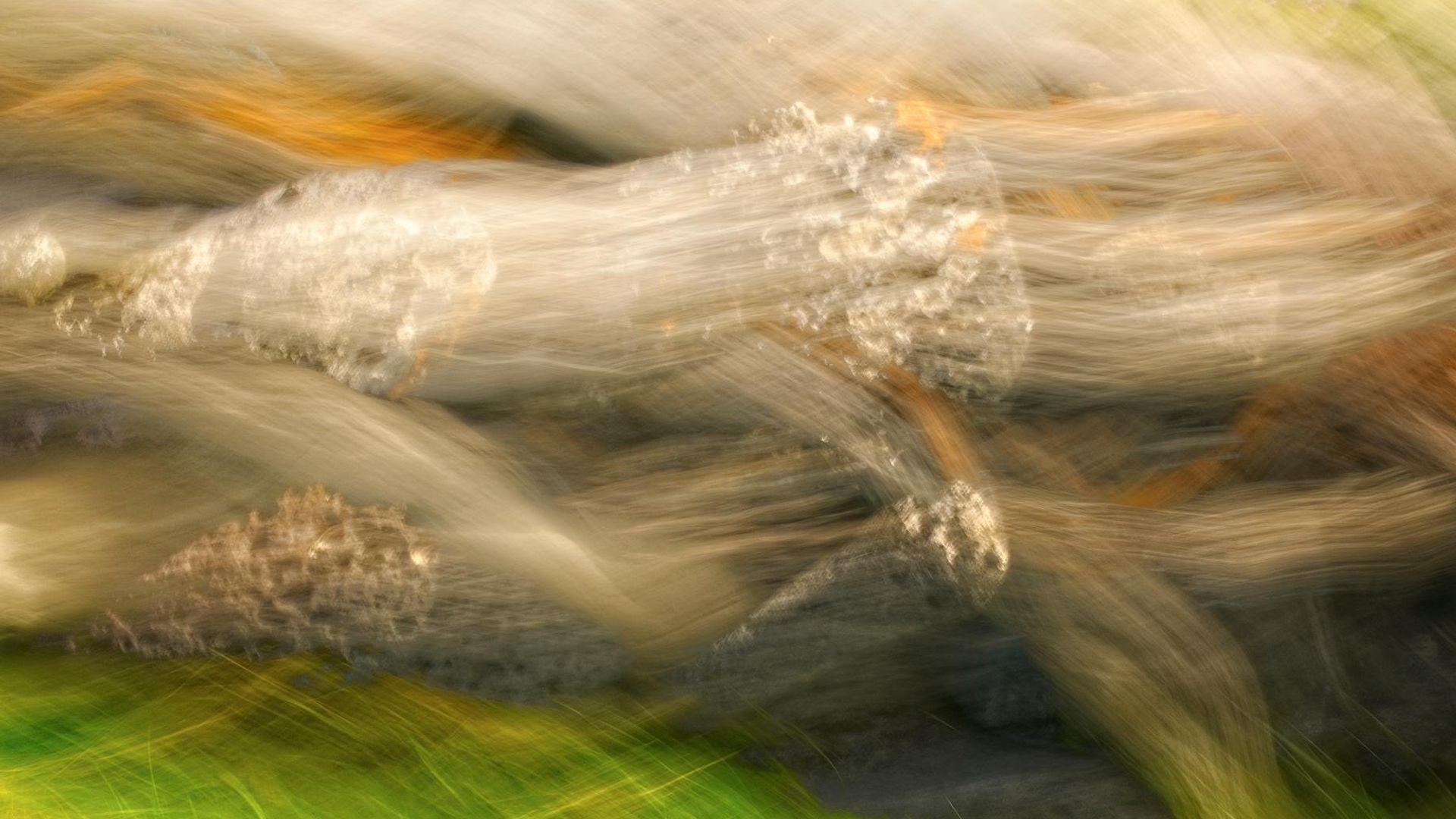 Abstract representation of fluid motion and energy lines on a dark background.